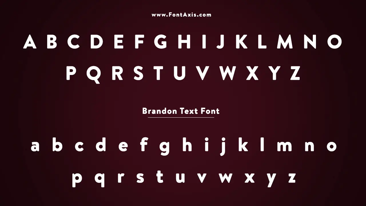 Brandon Text Font Information