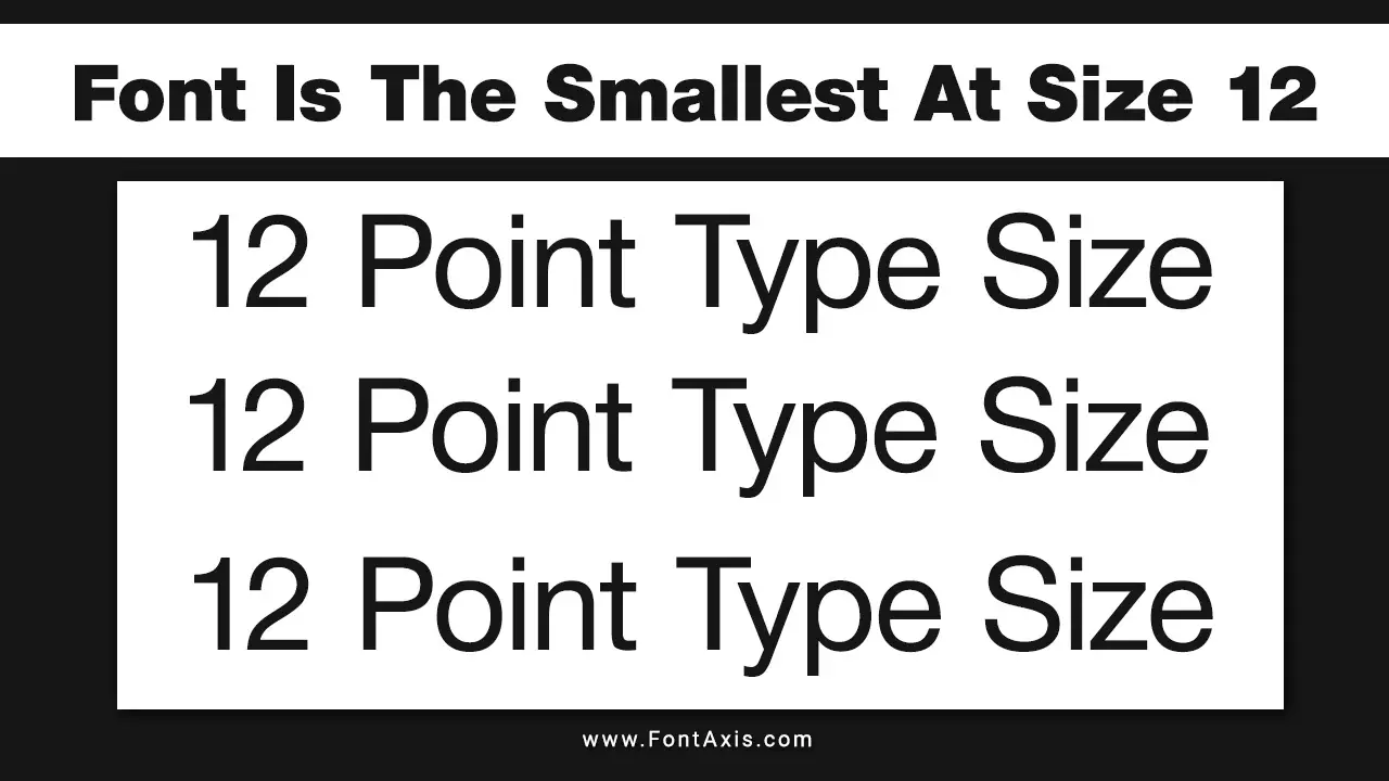 Font Is The Smallest At Size 12