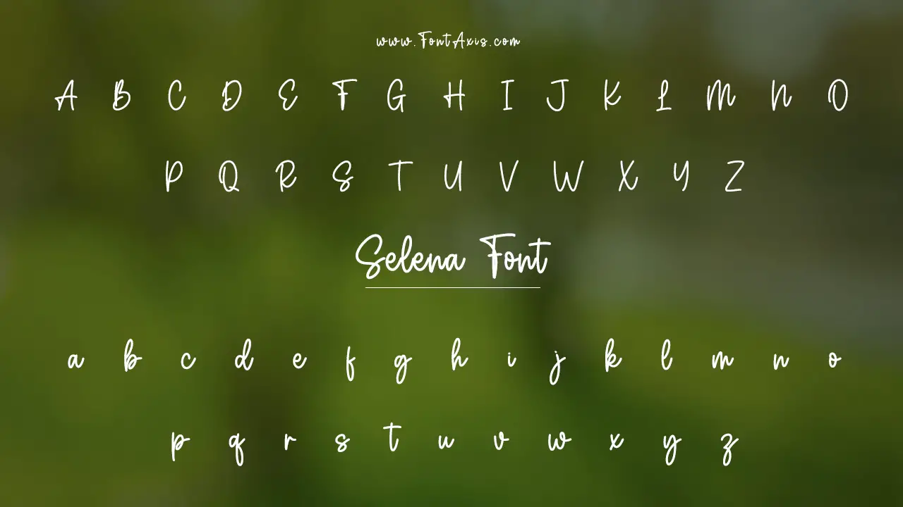 Selena Font Information