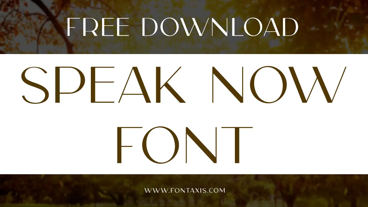 Speak Now Font