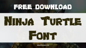 Ninja Turtle Font