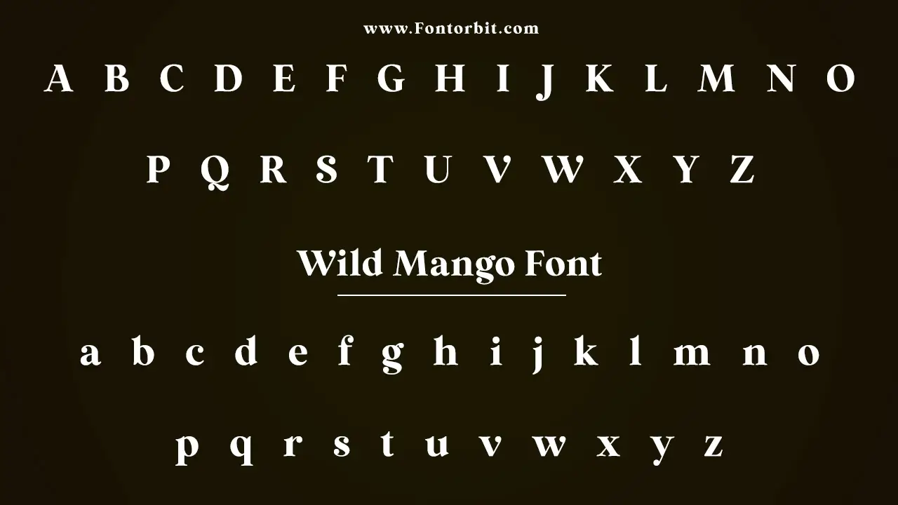 Wild Mango Font Family Includes