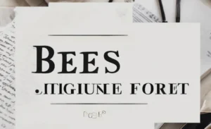 Best Word Signature Font